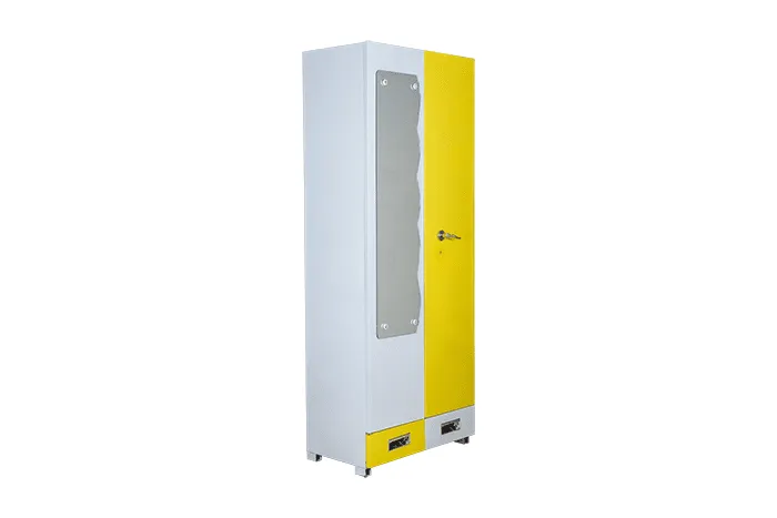VIVDeal Double Door Mirror Cupboard